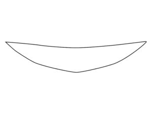 2022-2025 Acura RDX, All, Invisible Bug Guard A-Spec