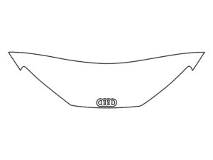 2017-2022 Audi R8, All, Invisible Bug Guard