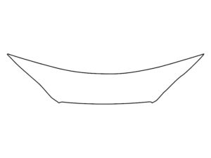 2018-2025 Audi S5,RS5, All, Invisible Bug Guard