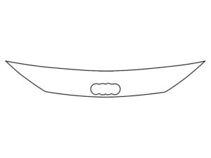 2016-2025 Audi TT, All, Invisible Bug Guard