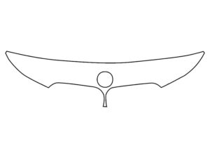 2018-2022 BMW i3, All, Invisible Bug Guard