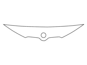 2022-2025 BMW iX, All, Invisible Bug Guard