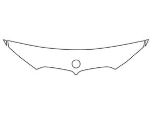 2019-2023 BMW X5, All, Invisible Bug Guard