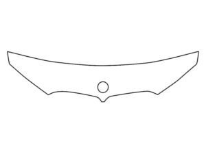 2024-2025 BMW X6, All, Invisible Bug Guard