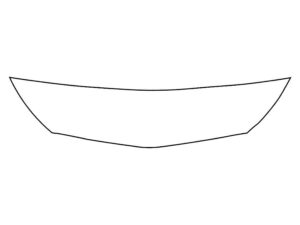 2018-2021 Buick Enclave, All, Invisible Bug Guard