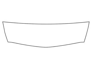 2023-2025 Cadillac LYRIQ, All, Invisible Bug Guard