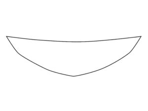 2019-2024 Chevrolet Camaro, All, Invisible Bug Guard