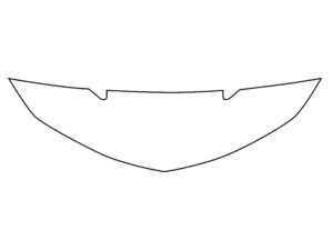 2019-2024 Chevrolet Camaro, SS, ZL1, Invisible Bug Guard