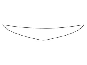 2019-2025 Chevrolet Malibu, All, Invisible Bug Guard