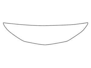 2024-2025 Chevrolet Trailblazer, All, Invisible Bug Guard