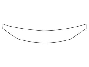 2015-2020 Chrysler 300, All, Invisible Bug Guard