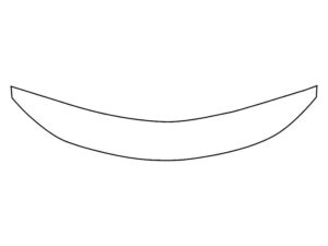 2021-2025 Chrysler Pacifica, All, Invisible Bug Guard