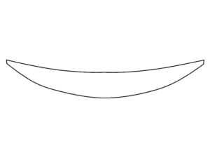 2015-2023 Dodge Charger, All, Invisible Bug Guard