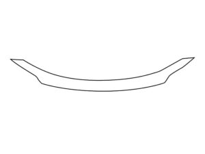 2011-2020 Dodge Grand Caravan, All, Invisible Bug Guard