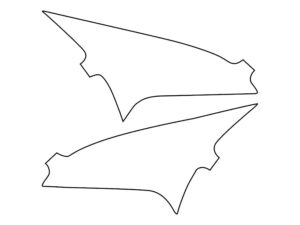 2018-2022 Ford EcoSport, All, Fog Light Cover Film