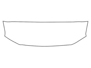 2021-2025 Ford F-150, All, Invisible Bug Guard