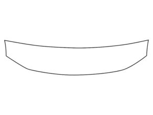 2022-2025 Ford F-150, Lightning, Invisible Bug Guard