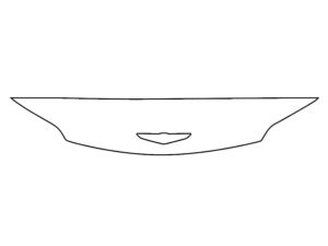 2023-2025 Genesis GV60, All, Invisible Bug Guard