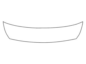 2018-2022 Hyundai Accent, All, Invisible Bug Guard