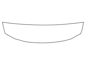 2024-2025 Hyundai Elantra, All, Invisible Bug Guard