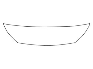 2019-2020 Hyundai Elantra, Sedan, Invisible Bug Guard