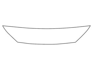 2018-2021 Hyundai Kona, All, Invisible Bug Guard