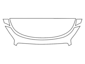 2019-2020 Kia K900, All, Invisible Bug Guard