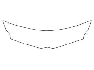 2012-2020 Lamborghini Aventador, All, Invisible Bug Guard