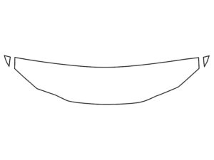 2019-2025 Lexus ES, All, Invisible Bug Guard