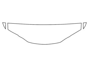 2016-2020 Lexus GS, All, Invisible Bug Guard