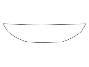 2024-2025 Lexus GX, All, Invisible Bug Guard