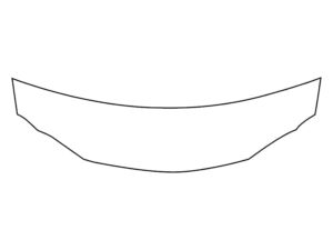 2017-2020 Lexus IS, All, Invisible Bug Guard