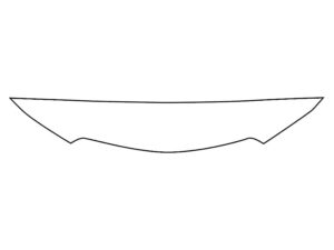 2021-2025 Lexus IS 350, F-Sport, Invisible Bug Guard