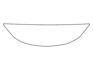 2018-2025 Lexus LC 500, All, Invisible Bug Guard