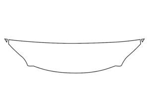 2018-2020 Lexus LS, All, Invisible Bug Guard