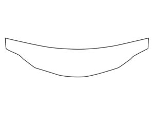 2019-2025 Lexus RC, All, Invisible Bug Guard