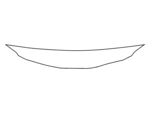 2020-2022 Lexus RX, All, Invisible Bug Guard