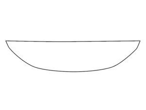 2023-2025 Lexus RZ, All, Invisible Bug Guard