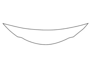 2019-2025 Lexus UX, All, Invisible Bug Guard