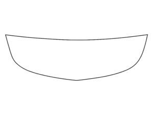 2015-2023 Mercedes AMG GT, All, Invisible Bug Guard