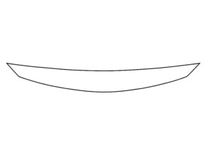 2019-2024 Mercedes AMG GT, 4-Door Couple, Invisible Bug Guard