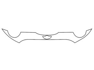 2014-2021 Mini Cooper, All, Invisible Bug Guard