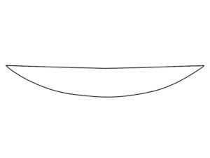 2017-2020 Nissan Armada, All, Invisible Bug Guard