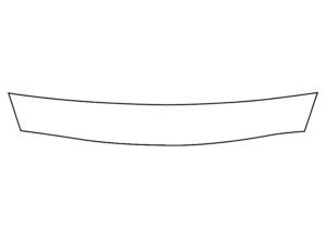 2017-2021 Nissan GT-R, All, Invisible Bug Guard