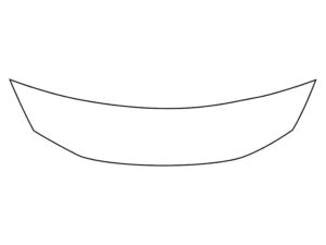 2019-2020 Nissan Murano, All, Invisible Bug Guard