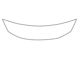 2021-2024 Nissan Murano, All, Invisible Bug Guard