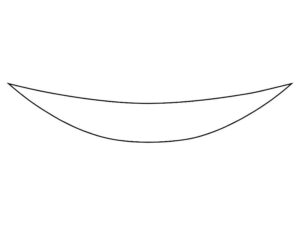 2017-2020 Nissan Rogue, All, Invisible Bug Guard