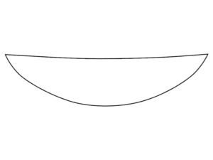 2020-2022 Nissan Rogue, Sport, Invisible Bug Guard