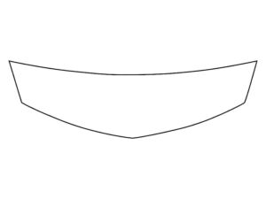 2023-2025 Nissan Z, All, Invisible Bug Guard