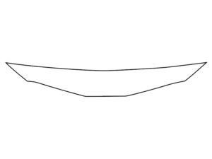 2018-2020 Toyota Camry, All, Invisible Bug Guard